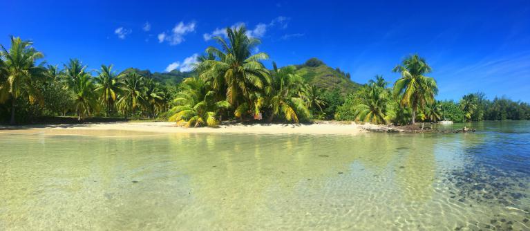 coordinateur de production à tahiti