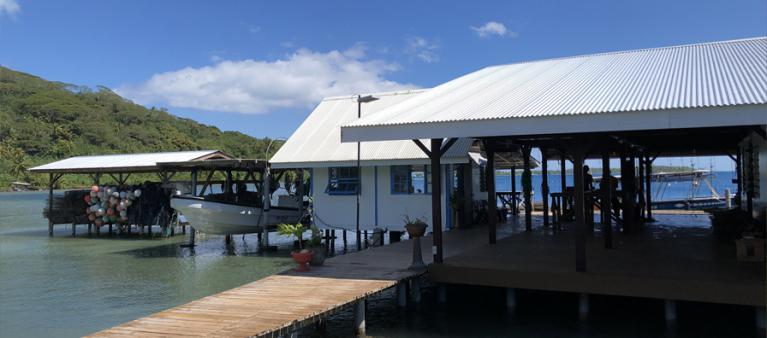 fixeur tahiti
